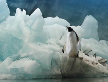 2. otužilecká vycházka v pátek 12. 12.