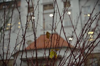 Dny otevřených dveří ve fotografiích