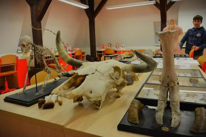 Dny otevřených dveří ve fotografiích