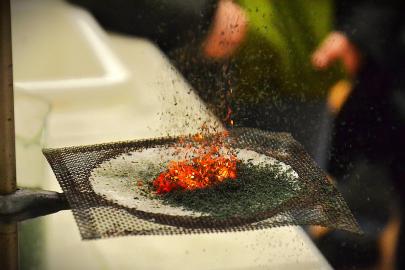 Dny otevřených dveří ve fotografiích