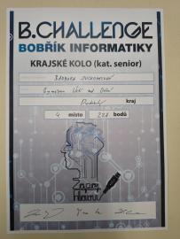 Bobřík informatiky – ústřední kolo