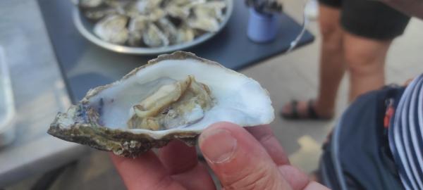 Pozdravy z poznávání Normandie, Bretaně a Paříže