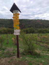 První foto pozdravy z Podyjí